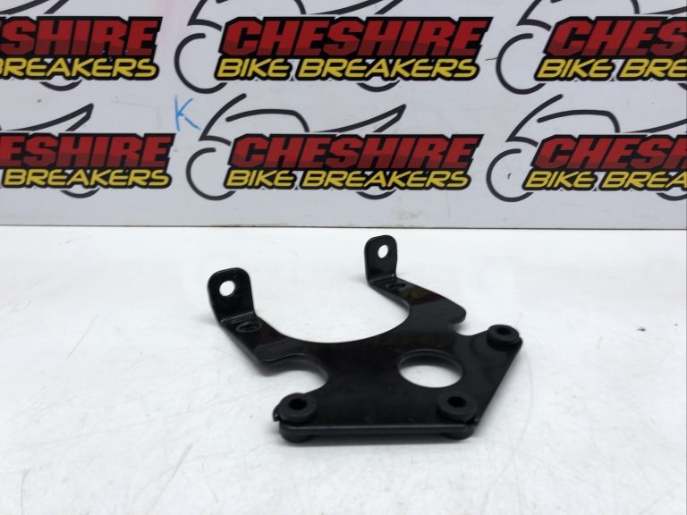 Lexmoto Assault 125 Euro 5 2022 2023 Speedo Clocks Mount Bracket 205244631153